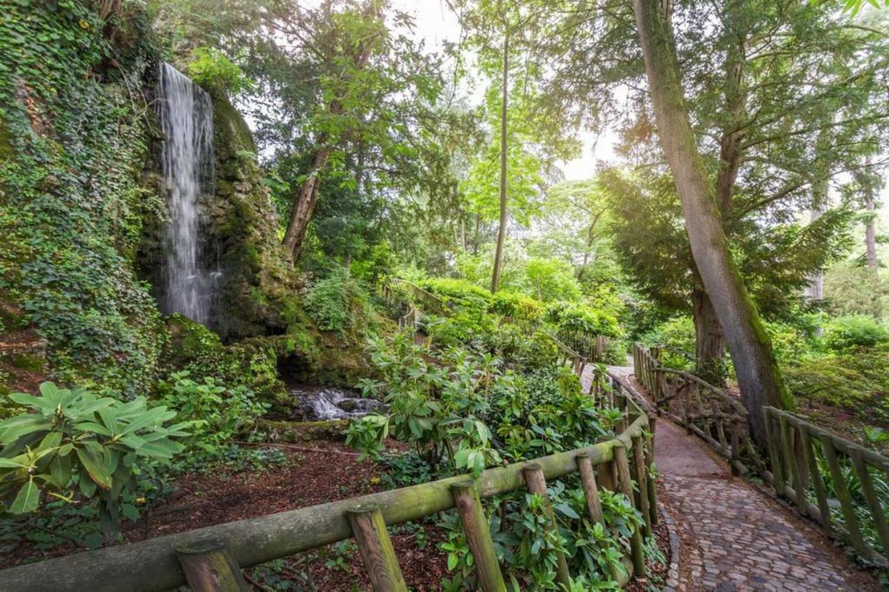 Calme Appart Renove Jardin Des Plantes Busca Тулуза Екстер'єр фото